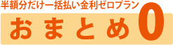 半額分だけ年二回払いプラン スマート6